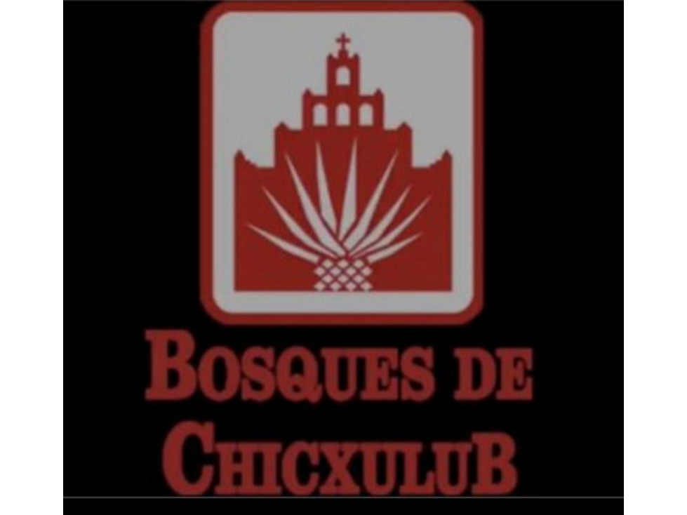 VENTA DE TERRENOS EN BOSQUES DE CHICXULUB - 1