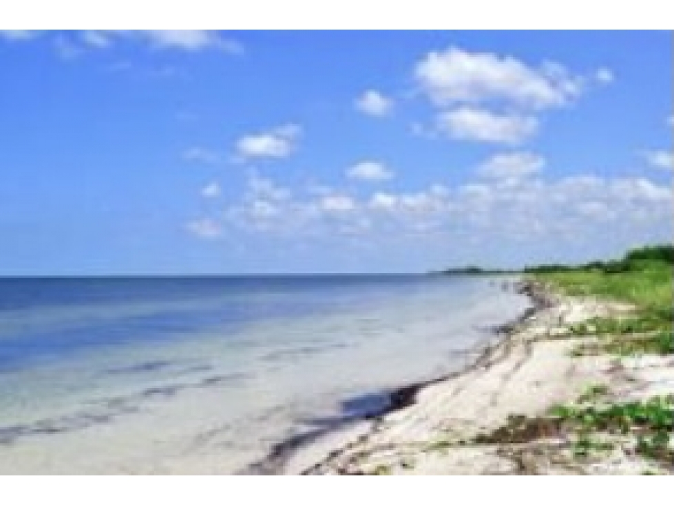 TERRENO EN VENTA PLAYA CHABIHAU — foto 2