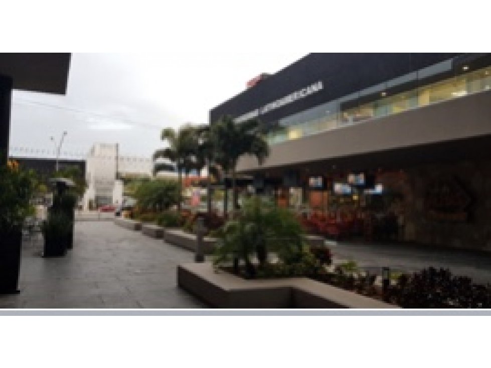LOCAL EN RENTA PLAZA PENINSULA