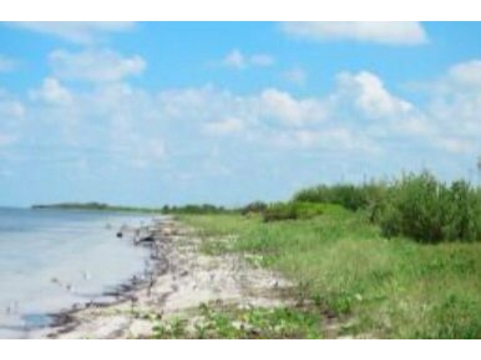 TERRENO EN VENTA PLAYA CHABIHAU — foto 6
