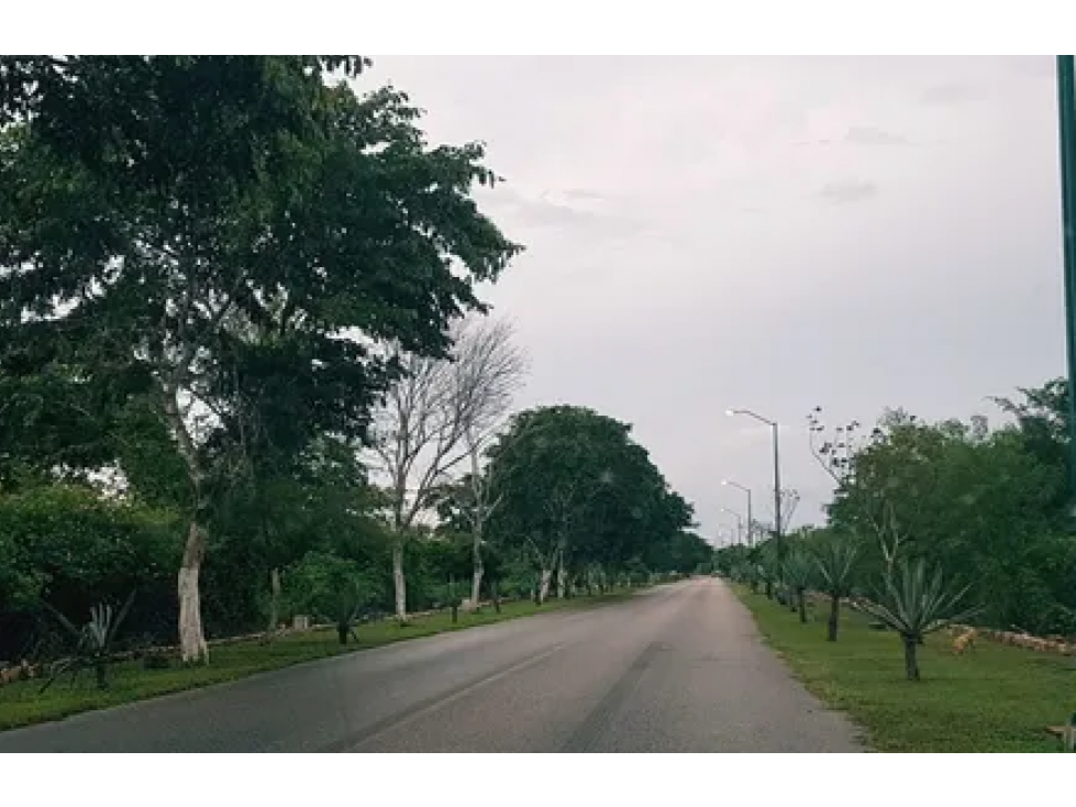 Venta de lote residencial Chicxulub Pueblo, junto a Quintas Baspul — foto 3