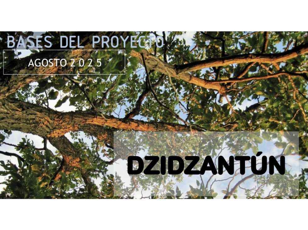 VENTA DE TERRENO DZIDZANTUN