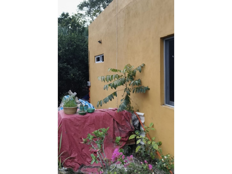 CASA EN VENTA CON AMPLIO TERRENO EN SUMA YUCATAN - 3