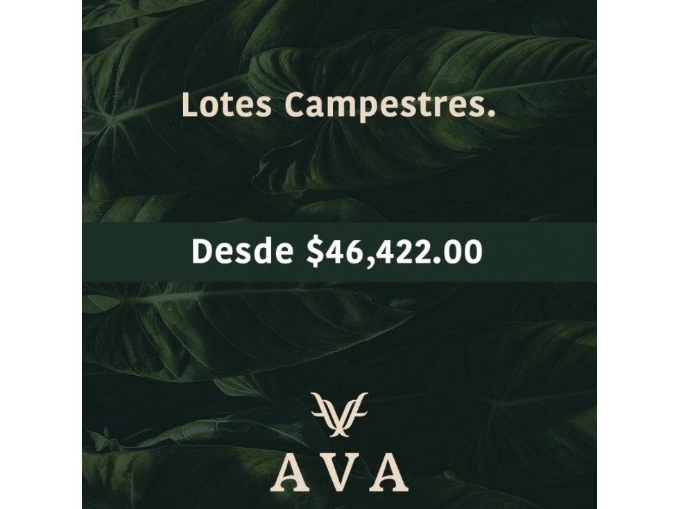 NUEVO DESARROLLO!!! AVA LOTES CAMPESTRE