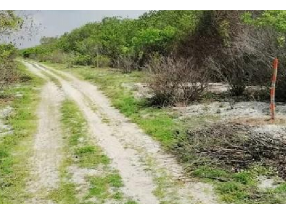 TERRENO DE 2,000 M2 FRENTE AL MAR DE REAL DE SALINAS - 3