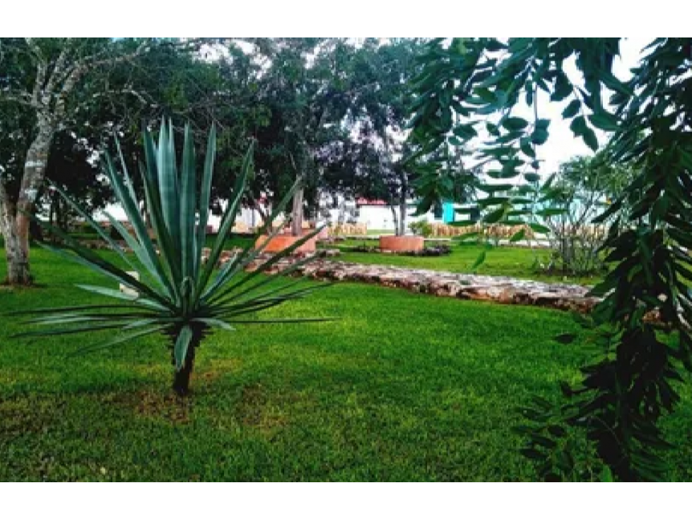 Venta de lote residencial Chicxulub Pueblo, junto a Quintas Baspul — foto 6
