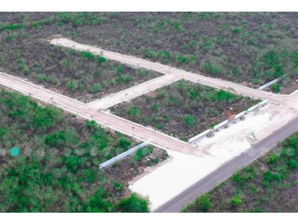 VENTA DE TERRENO EN ALGEA — foto 3