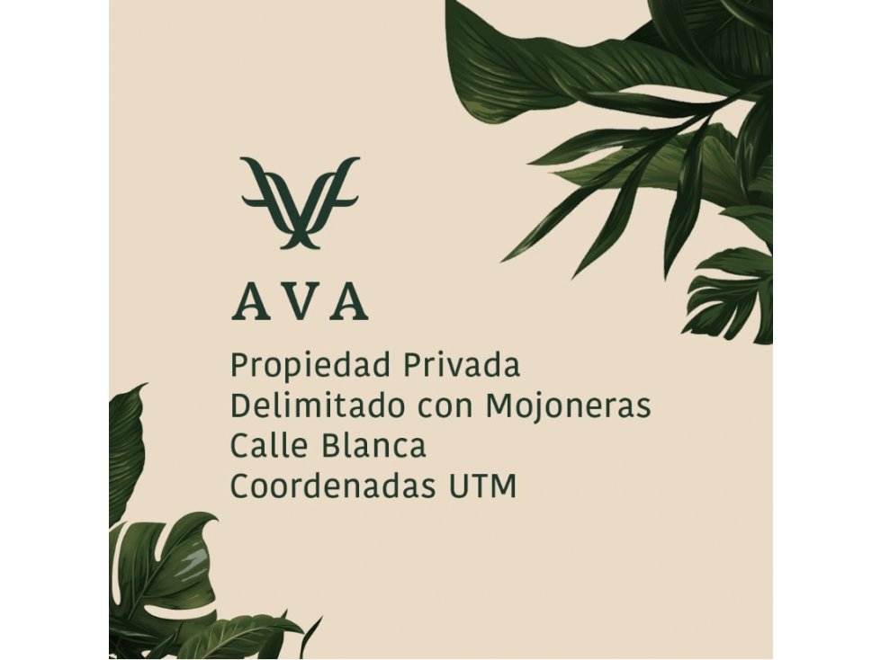 NUEVO DESARROLLO!!! AVA LOTES CAMPESTRE — foto 6