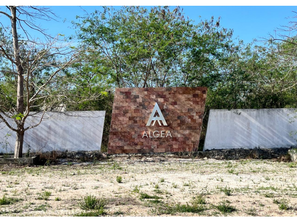 VENTA DE TERRENO EN ALGEA