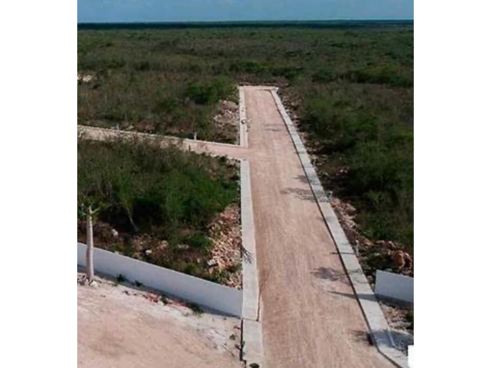 VENTA DE TERRENO EN ALGEA — foto 3