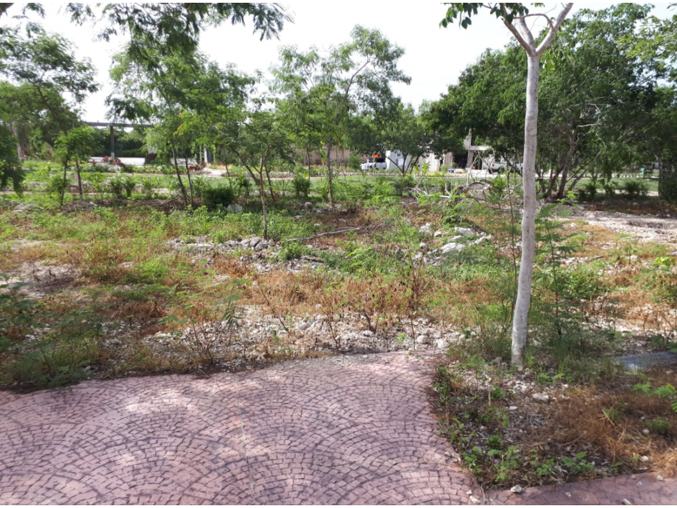 VENTA DE 2 TERRENOS EN ALTOZANO CLUSTER RIO — foto 5
