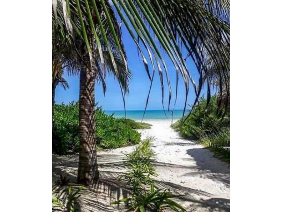 TERRENO FRENTE AL MAR EN VENTA EN EL CUYO YUCATAN - 2