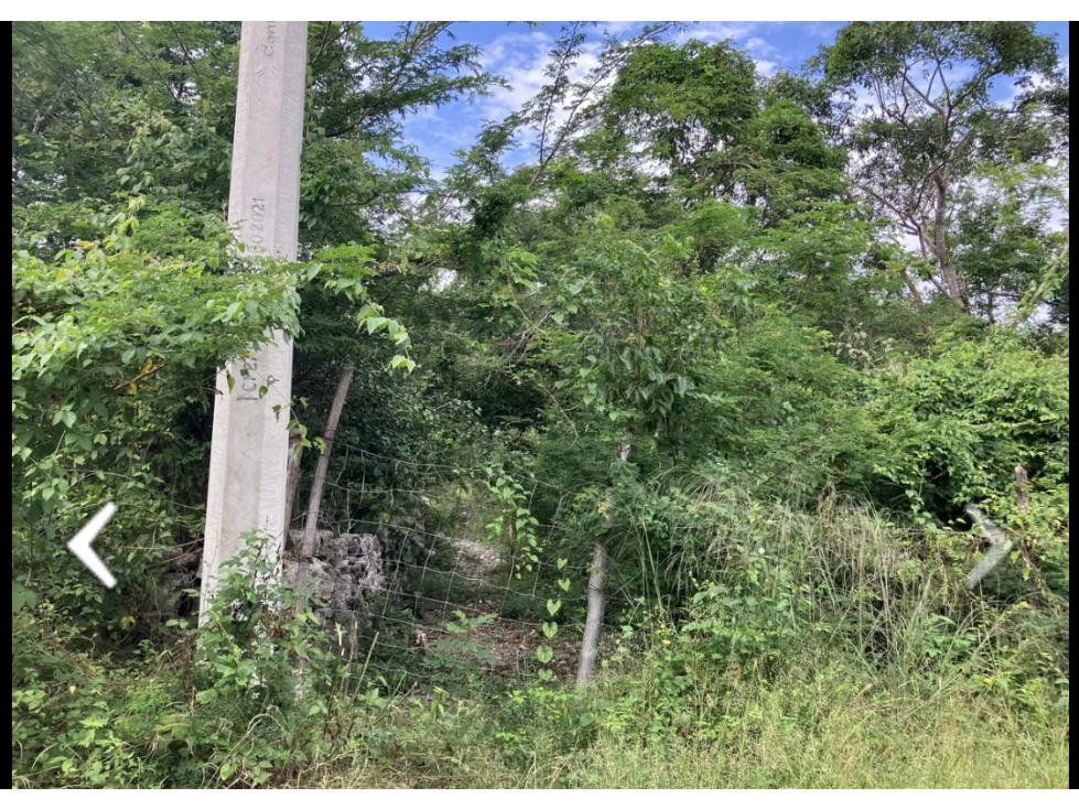 TERRENO EN VENTA EN SAN ANTONIO CHEL HUNUCMA - 5