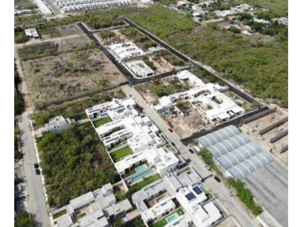 VENTA DE TERRENO EN ALGEA — foto 4