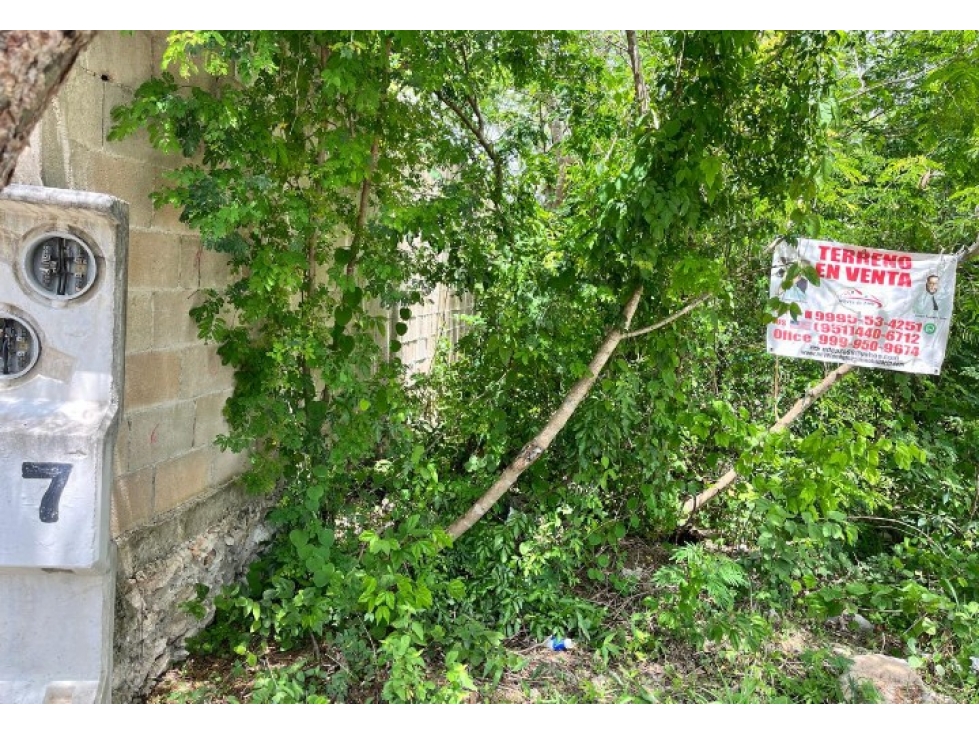 TERRENO EN VENTA EN ALGEA — foto 2