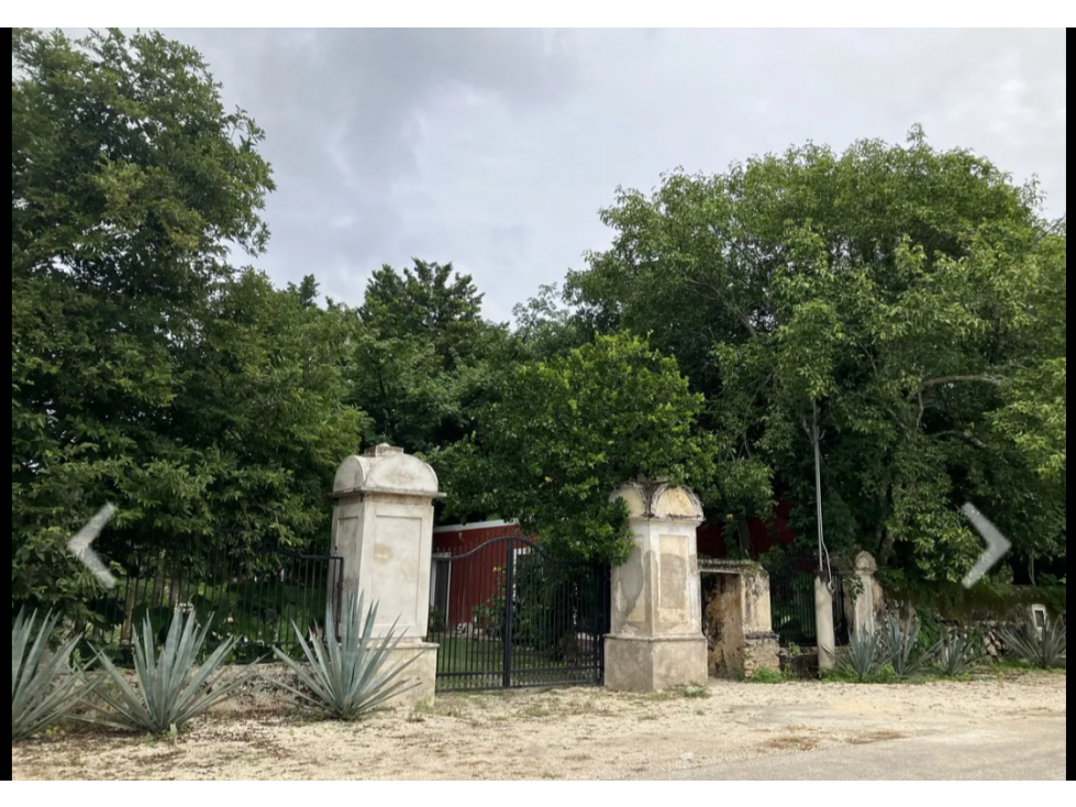 TERRENO EN VENTA EN SAN ANTONIO CHEL HUNUCMA - 6