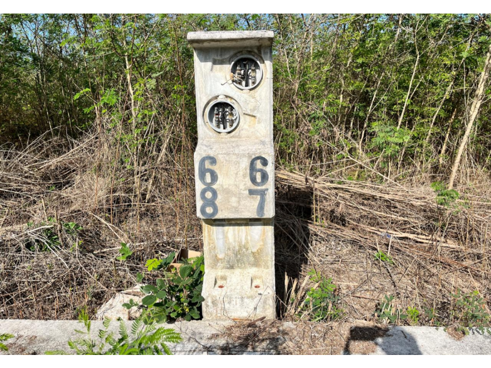 VENTA DE TERRENO EN ALGEA — foto 5