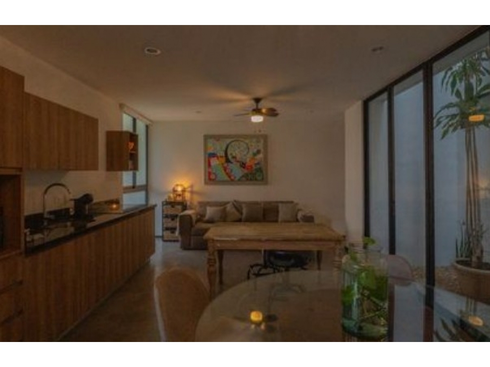 DEPARTAMENTO EN VENTA EN ETRO TEMOZON NORTE - 1