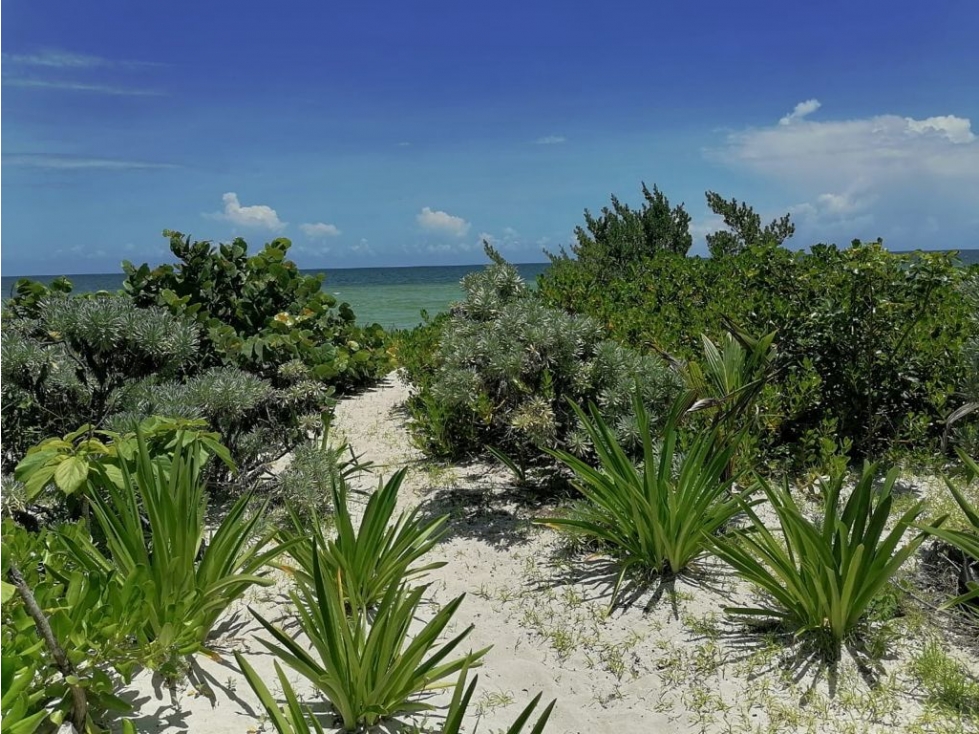 RESIDENCIA EN VENTA FRENTE AL MAR PLAYA SAN BENITO - 4