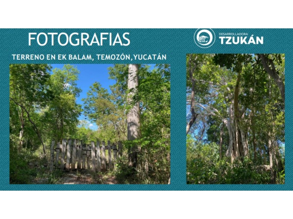 VENTA DE TERRENO CERCA DE Z.A. EK BALAM - 6