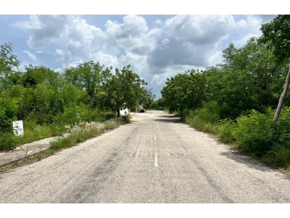 TERRENO EN VENTA EN ALGEA — foto 5