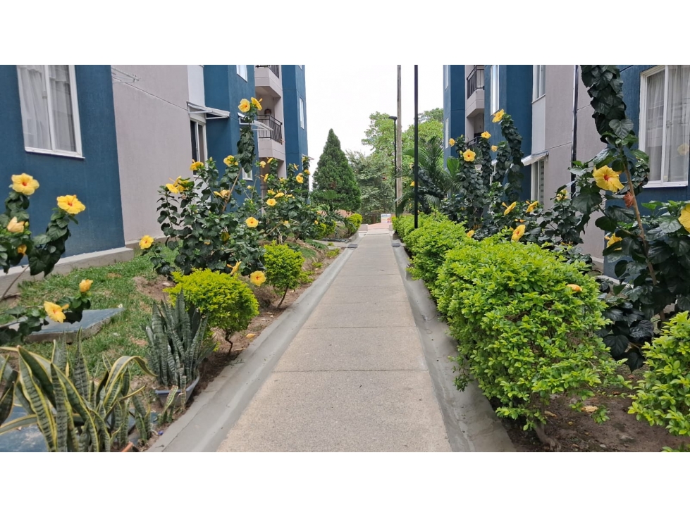 SE VENDE APARTAMENTO AL OCCIDENTE DE ARMENIA — foto 3