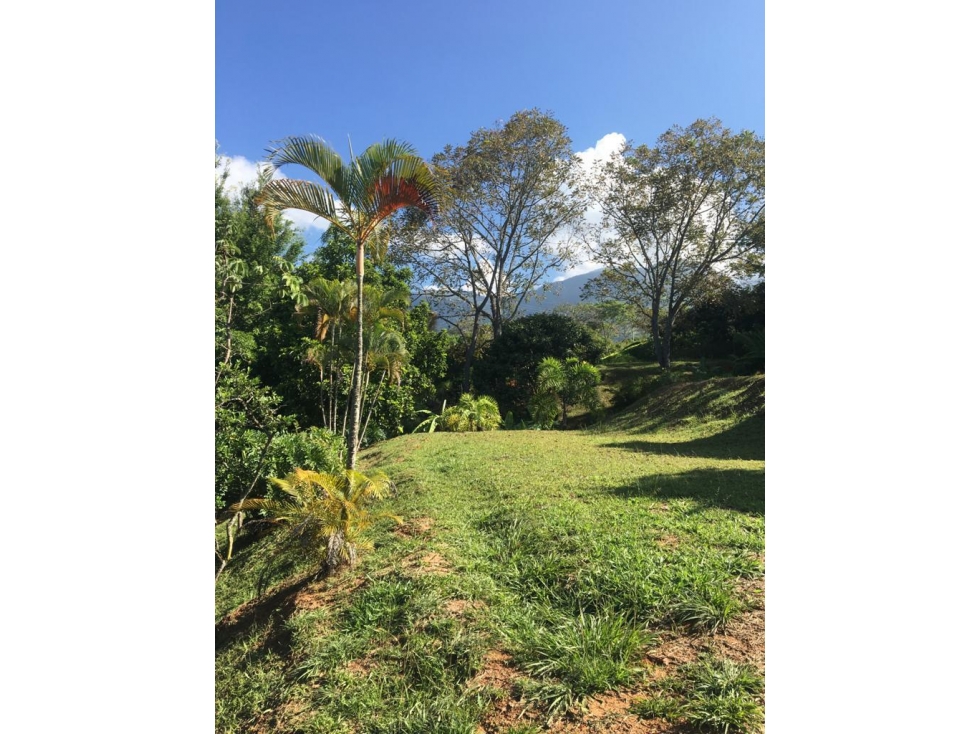 VENTA DE LOTE EN SAN JERONIMO ANTIOQUIA RANGO 2 - 2
