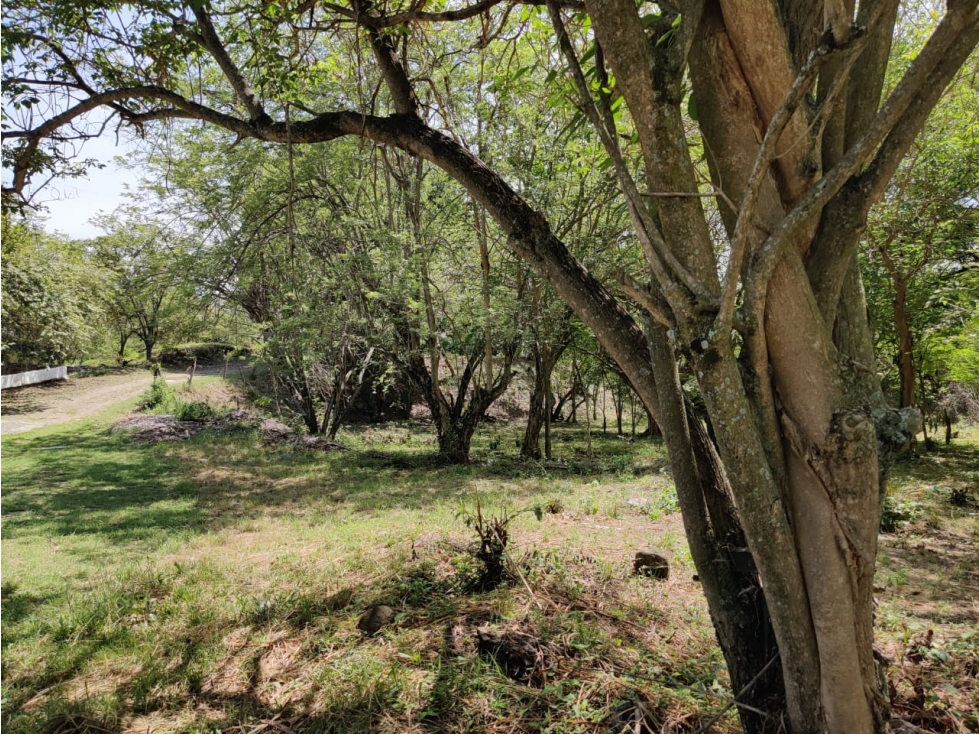VENTA DE LOTE EN SANTA FE DE ANTIOQUIA RANGO 3