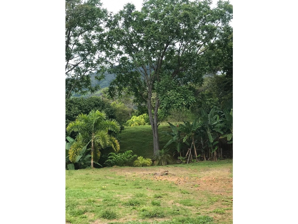 VENTA DE LOTE EN SAN JERONIMO ANTIOQUIA RANGO 2 - 4