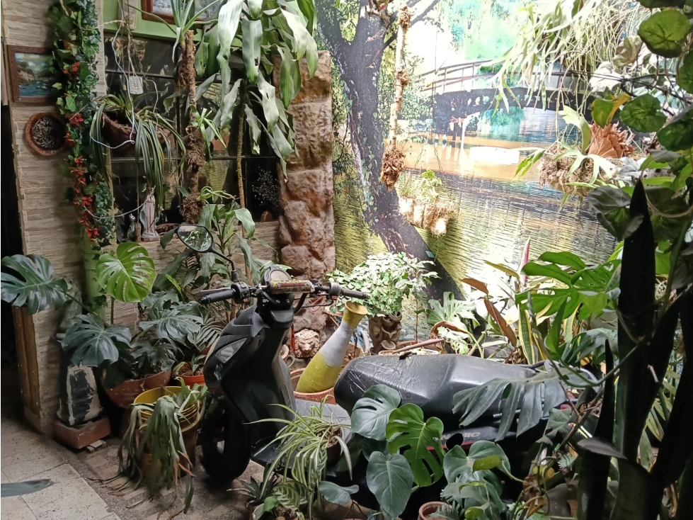 VENTA DE CASA PARA INVERSIÓN EN PRADO CENTRO RANGO 12 — foto 5