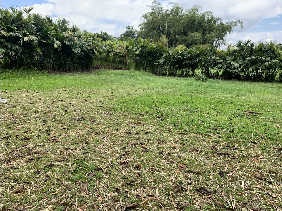 SE VENDE LOTE EN LA VÍA ARMENIA-CIRCASIA — foto 4