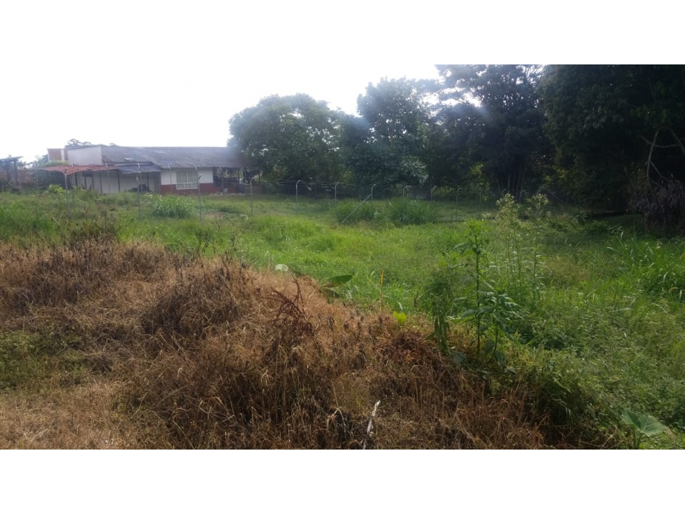 SE VENDE LOTE EN LA VIA CIRCASIA PEREIRA — foto 3