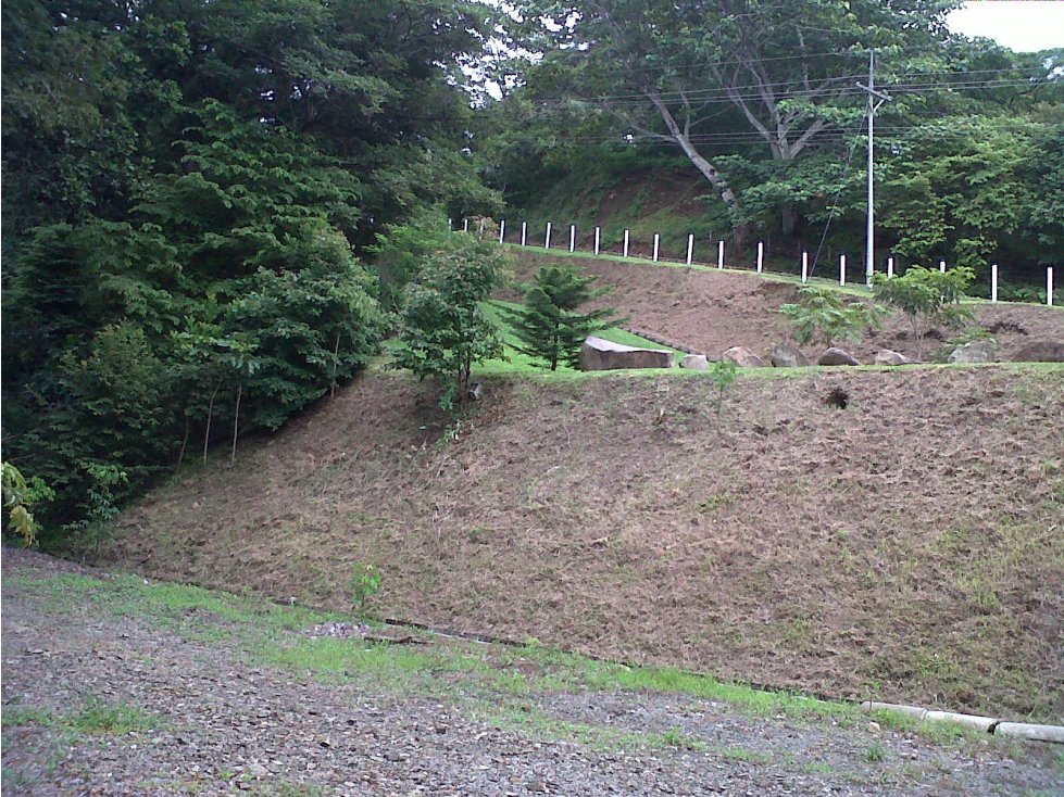 Lindo lote en Rio Grande Atenas foto 7