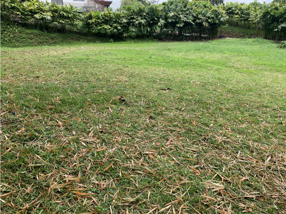 SE VENDE LOTE EN LA VÍA ARMENIA-CIRCASIA — foto 5