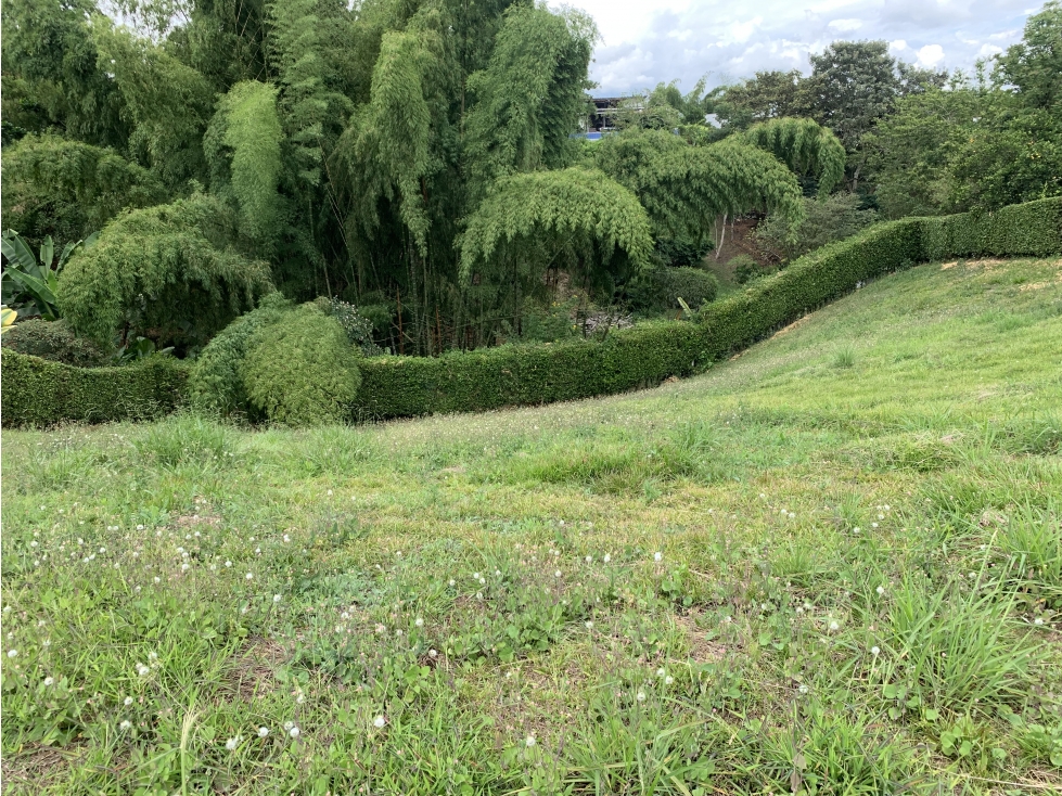 SE VENDE LOTE CERCA AL CAIMO — foto 5