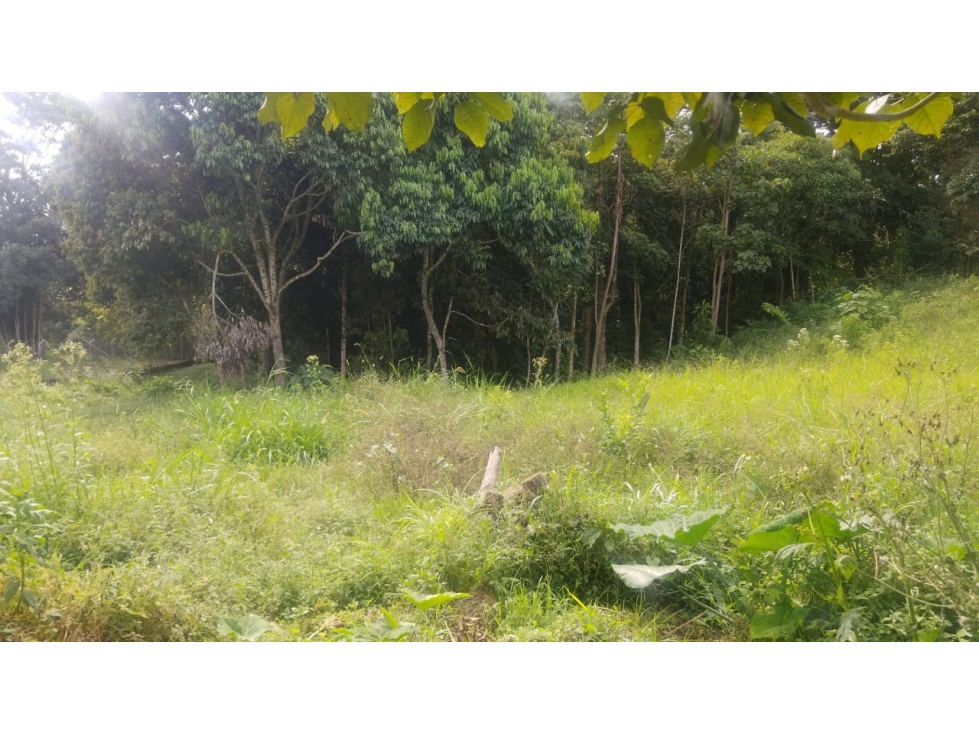 SE VENDE LOTE EN LA VIA CIRCASIA PEREIRA — foto 6