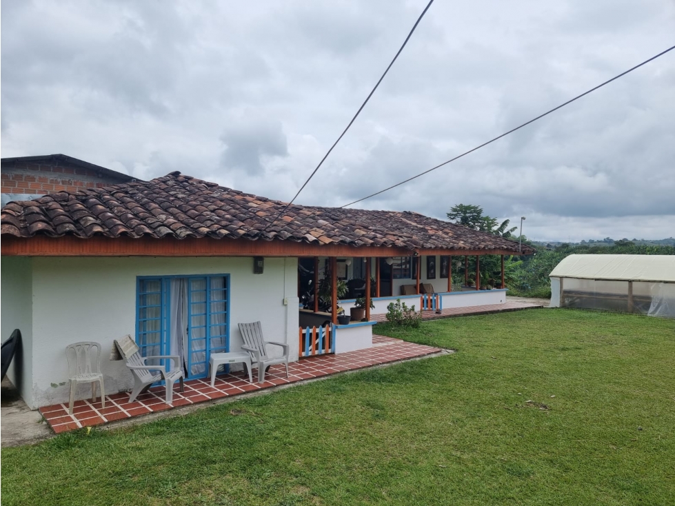 SE VENDE FINCA EN FILANDIA EN VIA ULLOA FILANDIA - 2