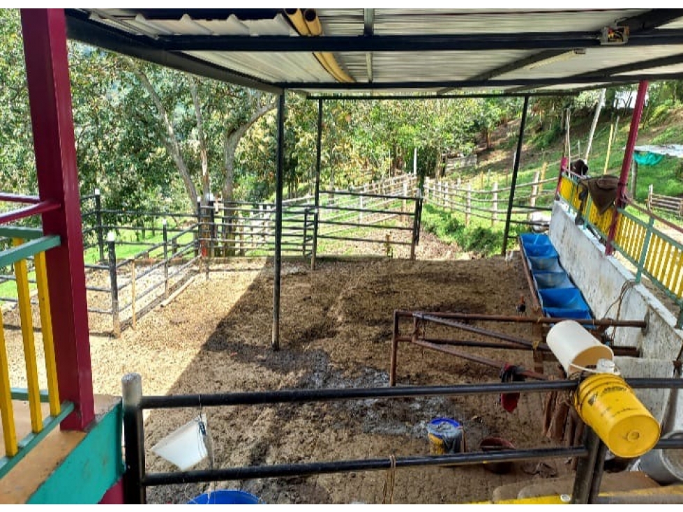 SE VENDE FINCA GANADERA CERCA A BARRAGAN - 4