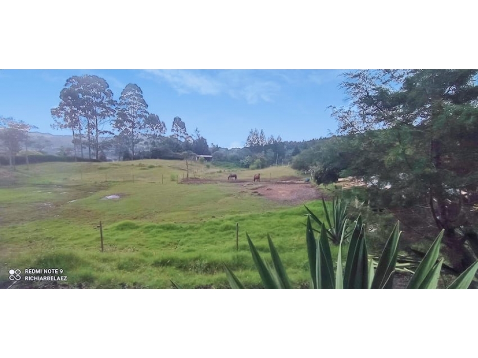 FINCA para la venta en Guarne, Vereda Los Molinos / La Mejía — foto 4