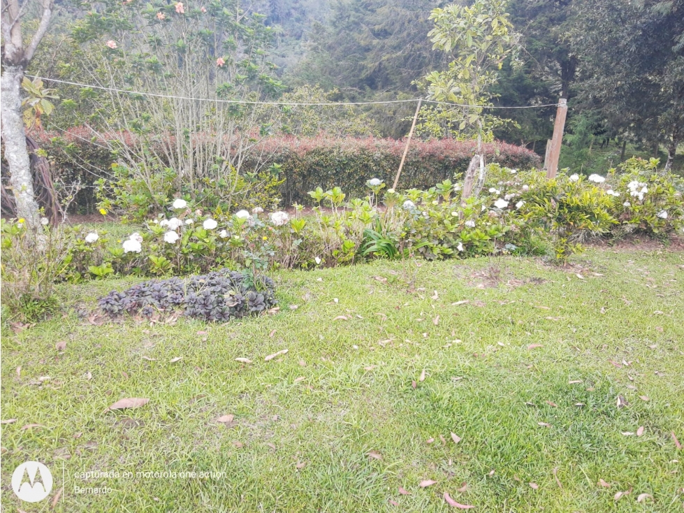 Vendo FINCA en Rionegro Antioquia, Vereda Los Pinos — foto 2