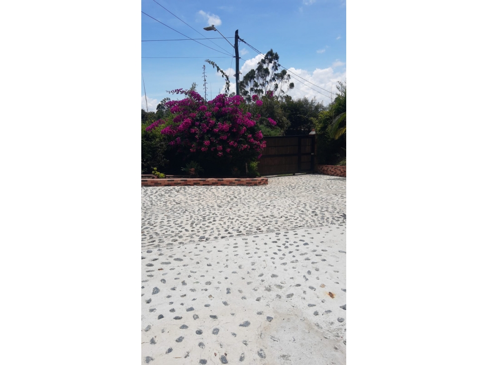 Vendo FINCA en Rionegro Antioquia, Vereda Los Pinos — foto 5