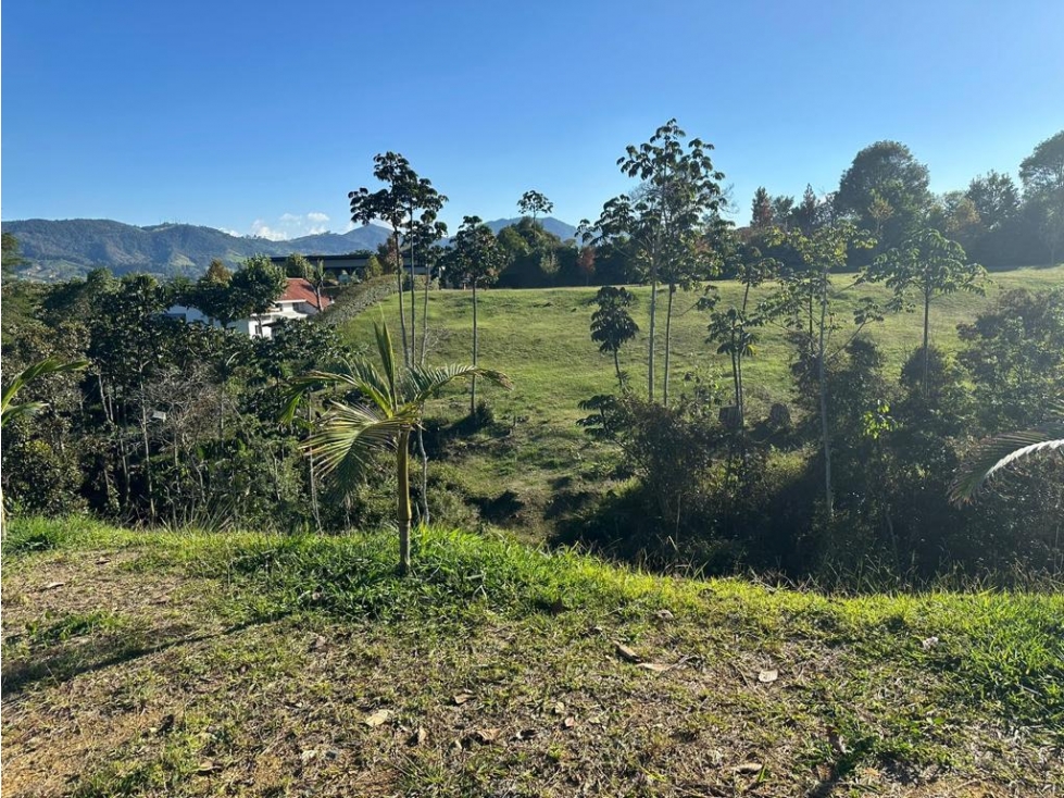 Vendo Hermoso Lote en La Ceja (Vía San Antonio - La Ceja)