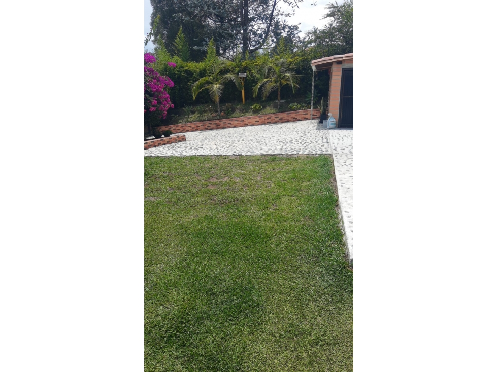 Vendo FINCA en Rionegro Antioquia, Vereda Los Pinos — foto 4