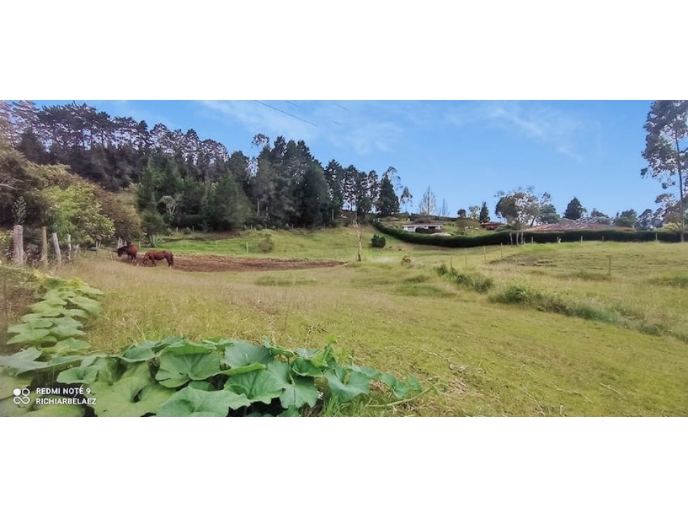 FINCA para la venta en Guarne, Vereda Los Molinos / La Mejía — foto 5