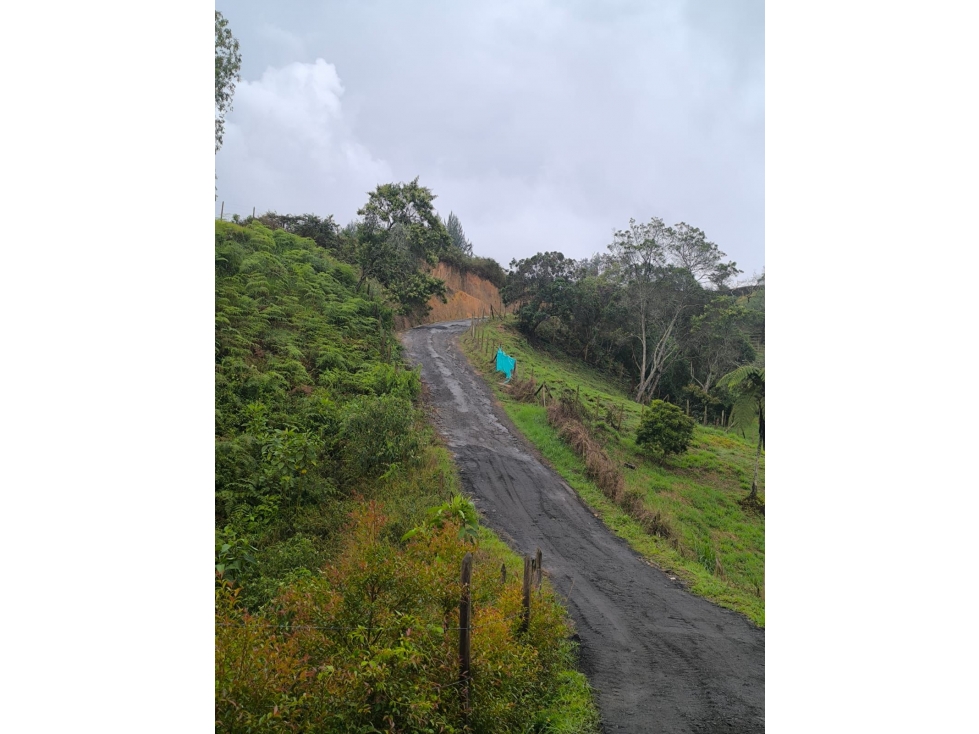 VENDO LOTE INDEPENDIENTE EN CHAPARRAL, SAN VICENTE DE FERRER — foto 3
