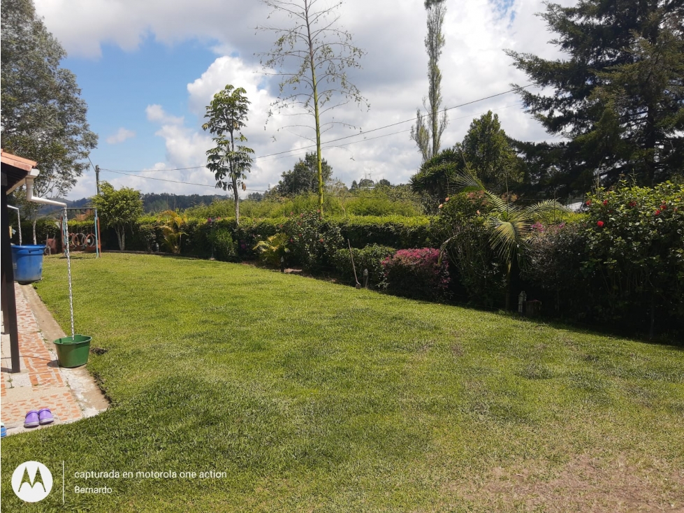 Vendo FINCA en Rionegro Antioquia, Vereda Los Pinos
