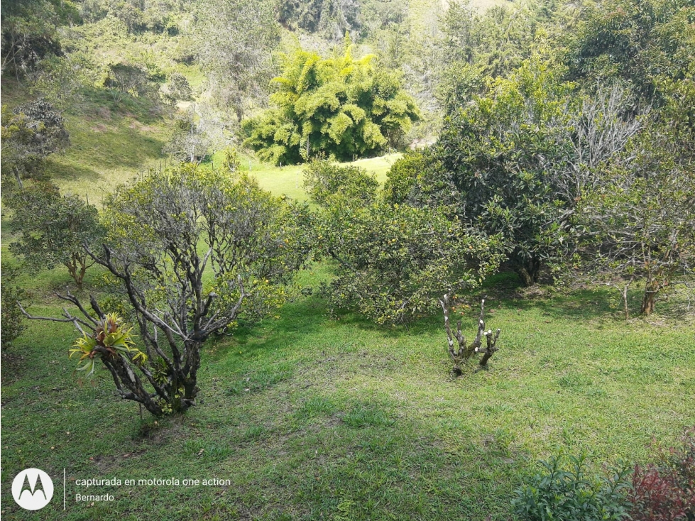 Vendo FINCA en Rionegro Antioquia, Vereda Los Pinos — foto 3