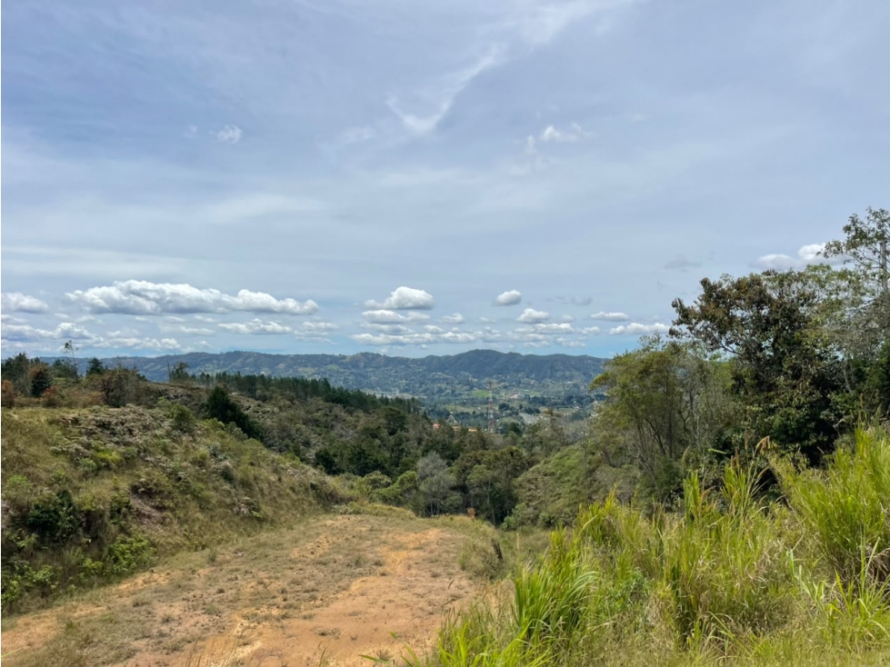 Se vende lote En Rionegro, Vía Guarne - Aeropuerto JMC — foto 2