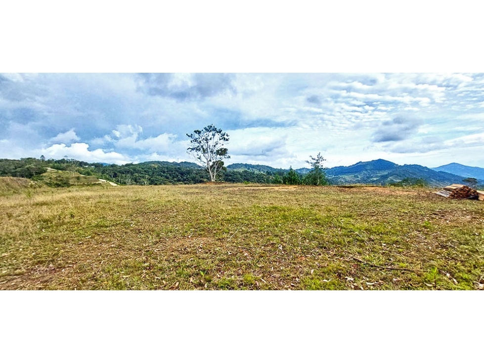 Vendo Hermoso lote en El Retiro vía Pantanillo sector Lejos del Nido — foto 4