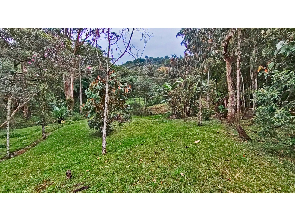 Vendo lote ondulado independiente, El Tablazo Vda La Oculta, Rionegro — foto 6